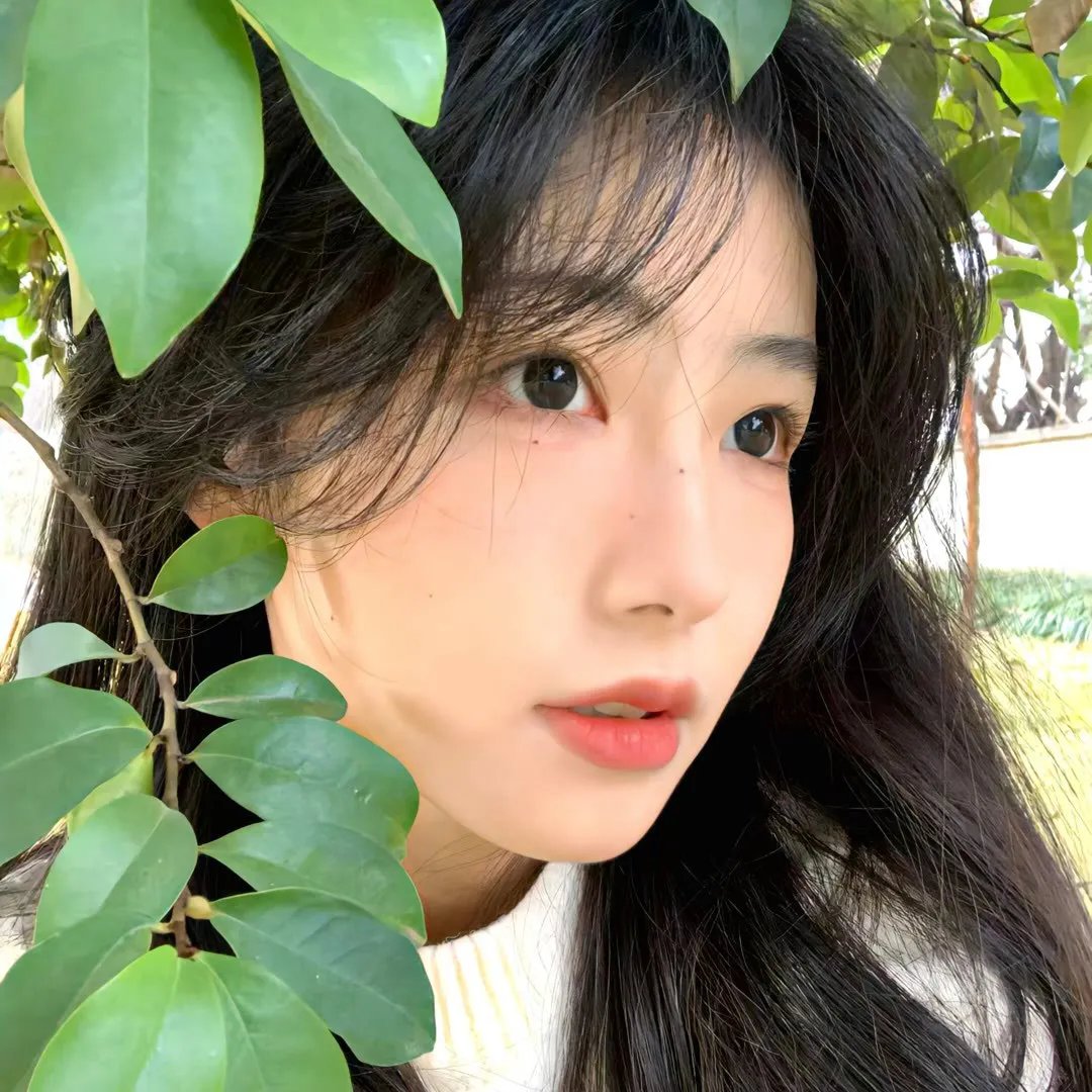 欢喜拍档