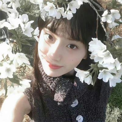 老鼠的麻烦